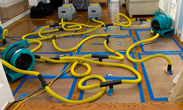 Professional Flood Damage Restoration technician working in Horseshoe Bend, AR